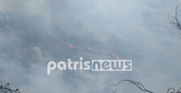 Παπαγεωργίου για πυρκαγιά στην Ηλεία: "Δεν κινδυνεύει κατοικημένη περιοχή" (φωτο+video)
