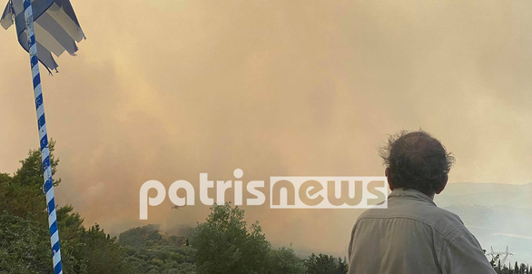 Παπαγεωργίου για πυρκαγιά στην Ηλεία: "Δεν κινδυνεύει κατοικημένη περιοχή" (φωτο+video)